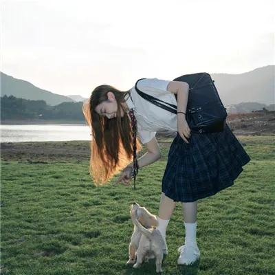 卧虎行动